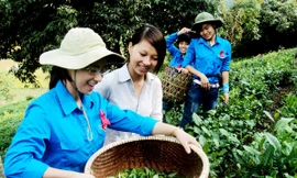 Hướng về biên cương, hải đảo