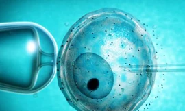 Trẻ sinh ra trong ống nghiệm dễ bị ung thư sớm