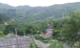 Gái bản lừa tình đàn ông bán qua biên giới