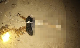 Ninh Thuận: Phát hiện đoạn xương chân trôi dạt vào bờ 