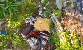 Nông dân thủ phủ thanh long Lâm Đồng điêu đứng