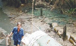 Rạch Bà Chèo đang bị ô nhiễm nặng do nước thải từ Nhà máy xử lý nước thải Long Thành (Đồng Nai) Ảnh: Mạnh Thắng