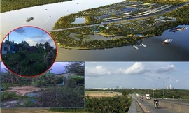 Dự án treo 14 năm