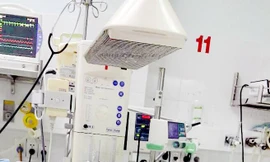 Trẻ sơ sinh được cứu sống nhờ... 'làm lạnh'