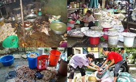 Việt Nam thiệt hại 700 triệu USD mỗi năm vì mất an toàn thực phẩm