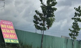 Chưa xong giải tỏa, dự án Đông Bình Dương rầm rộ rao bán