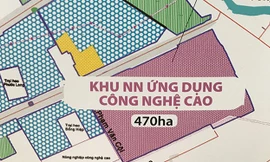 Kiểm toán 'phanh phui' 24 khu đất của Tổng công ty Sagri