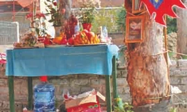 'Thần rắn' đã chết