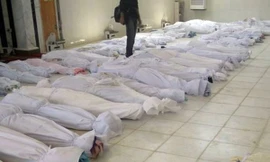 Ông Kofi Annan sốc vì vụ thảm sát Houla