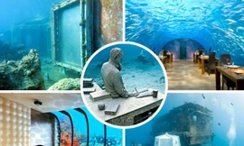 Khám phá 7 kỳ quan thế giới dưới đáy đại dương