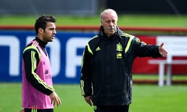 Không chịu nổi cảnh chướng tai gai mắt, HLV Del Bosque đã yêu cầu Fabregas cởi áo bíp đưa lại cho Xabi Alonso rồi tống cổ anh khỏi sân