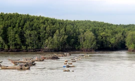 Mênh mang sông Lòng Tàu