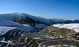 Những bức ảnh đẹp sững sờ về thiên nhiên và con người VN