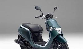 Vì sao Honda không bán Dunk tại Việt Nam?