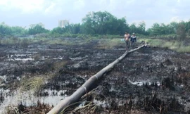 Hiện trường vụ cháy khiến hàng cánh đồng cỏ bị thiêu rụi