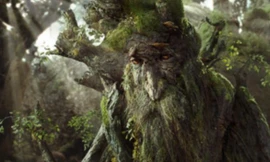 Thực vật cũng có trí thông minh? 