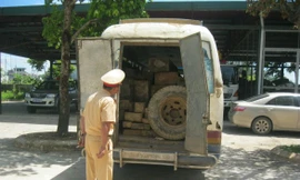 Xe khách ngụy trang để chở gỗ lậu.