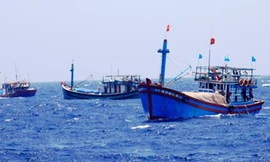 Bản tin 20H: Triệu đại diện sứ quán Trung Quốc ở Hà Nội 