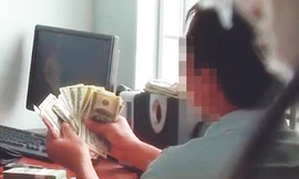 Săn “đô đen”