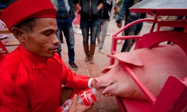 Độc đáo lễ Hội chém lợn làng Ném Thượng