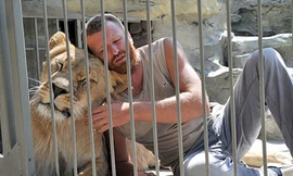 Sống năm tuần trong lồng sắt cùng sư tử