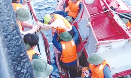 Chuyện chế tạo xuồng CQ-01 “Cá mập”