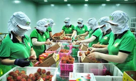 Nhiều DN bày tỏ mong muốn các bộ, ngành cần có chính sách mạnh mẽ hỗ trợ DN; địa phương cần thống nhất quy định về di chuyển