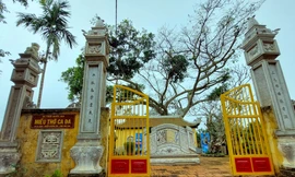 Chuyện miếu cổ trong hốc cây đa trăm tuổi 