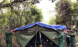 Khúc quân hành màu xanh