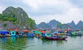  Kỳ 3: Ai đánh mất văn hóa làng chài? 