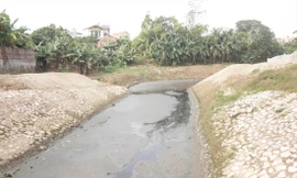 Thí điểm phục hồi sông Nhuệ, sông Đáy 