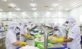 Hoạt động sản xuất kinh doanh phục hồi tại nhiều doanh nghiệp