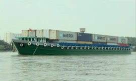 Để chuyển hàng bằng đường biển, các DN cần phải đảm bảo chất lượng sản phẩm, đồng thời có giấy chứng ngạch an toàn thực phẩm