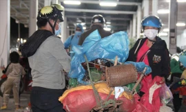 Mặn chát những chuyến 'hồi hương' thời COVID-19