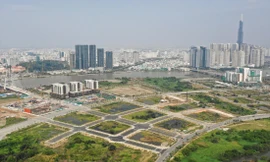 'Hét' giá đất rồi bỏ cọc: Hội chứng và hệ lụy