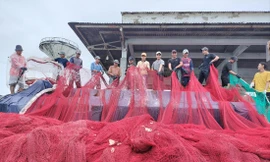 Bước qua nỗi sợ, tạo đột phá kinh tế