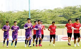 Ông Park không 'ngán' Indonesia 