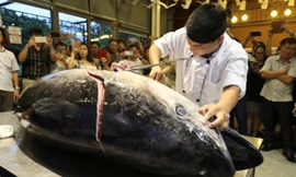 Mở cửa cho loạt mặt hàng vào các thị trường tỷ USD 