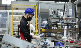 Trong cùng một sản phẩm làm ra nhưng có nhiều cấu kiện khác nhau, với các mức thuế VAT khác nhau, gây khó khăn cho DN trong việc tính thuế và ghi hóa đơn xuất hàng Ảnh minh họa: Như Ý