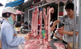 Giá lợn hơi tăng đột biến: Mừng trước lo sau 