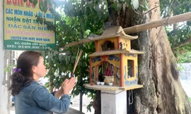 Từ bao đời nay, người dân Diễn Kim coi cây gạo trở thành một phần không thể thiếu trong đời sống tinh thần của họ Ảnh: T.H 