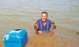 Chuyện ly kì về 'Rái cá' mù ở biển Tây Nam