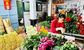 Giá hoa Đà Lạt đang tăng 