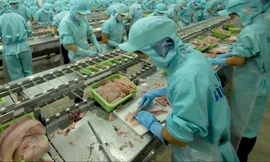 Các doanh nghiệp thủy sản kỳ vọng sớm được cởi trói các quy định bất cập 