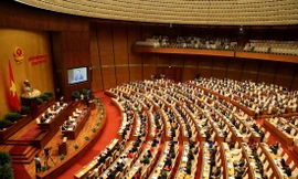 Khi báo chí và nghị trường cùng trăn trở 