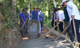 Áo xanh tình nguyện 'phủ sóng' khắp nơi 