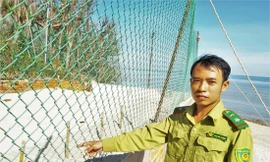 Các tổ ấp trứng rùa Ảnh: Trần Nguyên Anh 