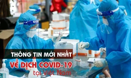 Thông tin mới nhất về diễn biến dịch COVID-19 tại Việt Nam