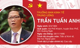 Chân dung Trưởng Ban Kinh tế Trung ương Trần Tuấn Anh