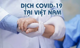 Thông tin mới nhất về tình hình dịch COVID-19 tại Việt Nam